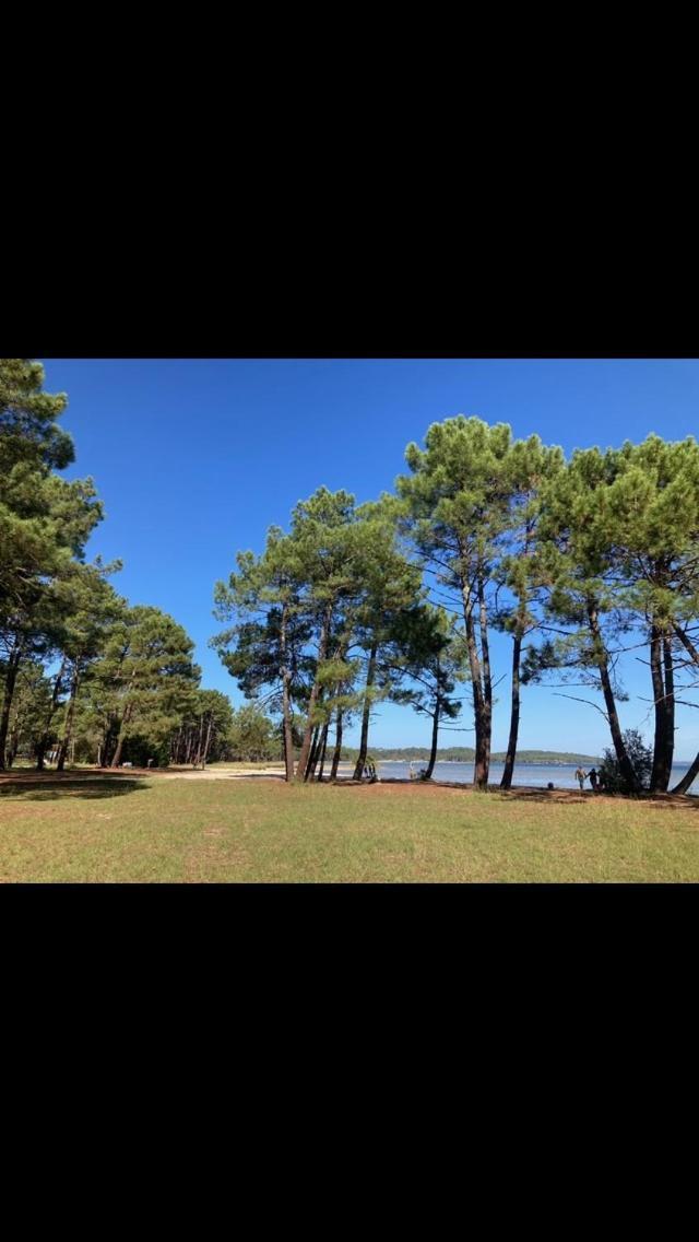 Villa Dune Biscarrosse Esterno foto
