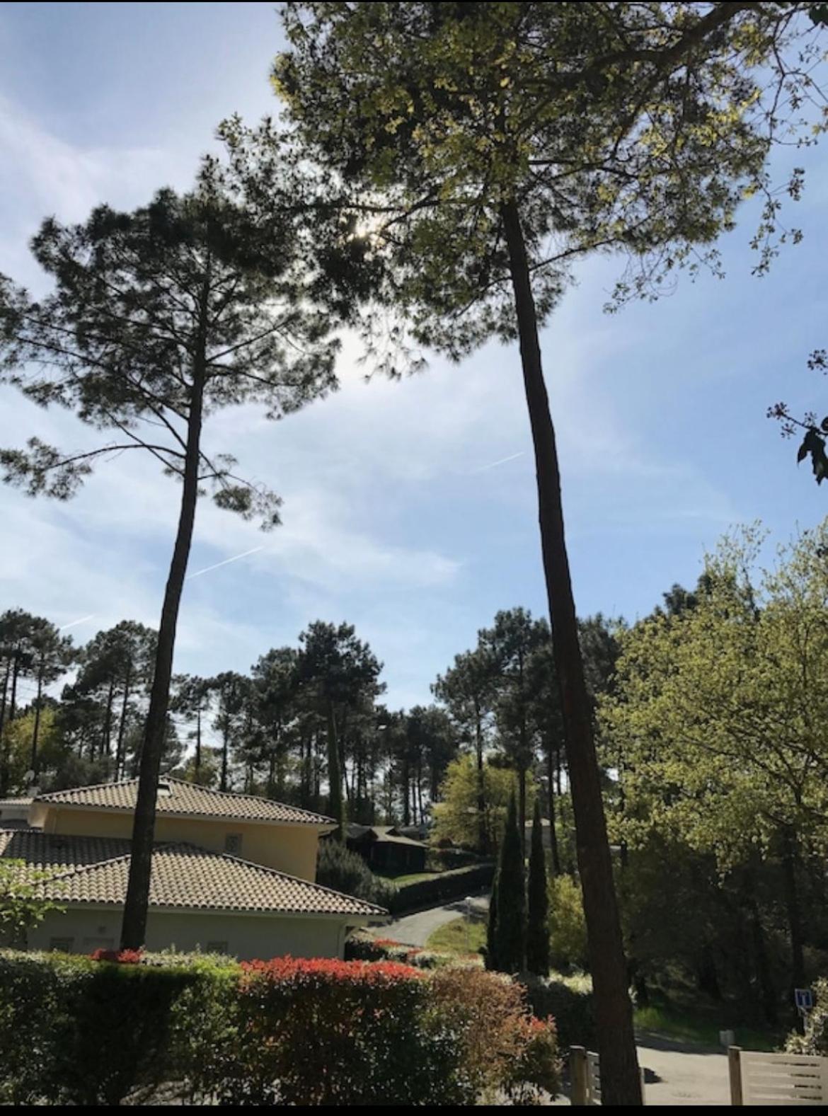 Villa Dune Biscarrosse Esterno foto